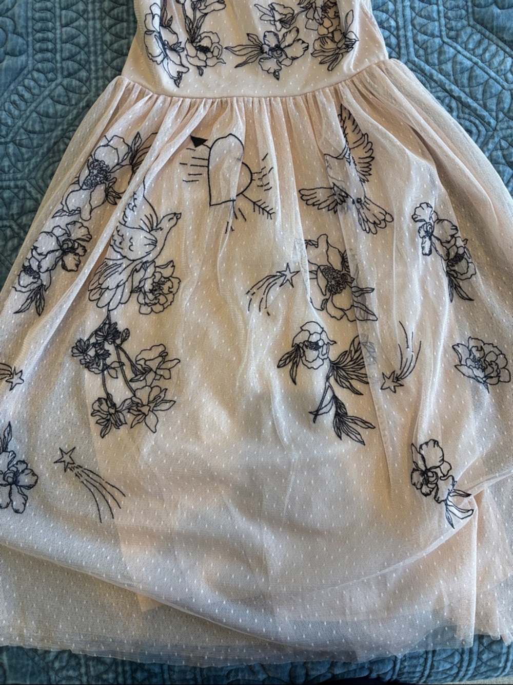 Express Tulle Dress with Black Floral Embroidery - Blush - Picture 4 of 6